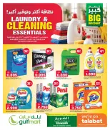 Oncost Kuwait offers from 29 to 31 October 2026 Laundry & Cleaning Essentials - Page 1