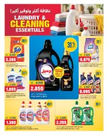 Offres Oncost Express Koweït de 29 à 31 octobre 2026 Plus de propreté et une plus grande disponibilité - Page 9