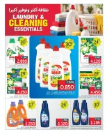 Taiba Market Kuwait offers from 29 to 31 October 2026 Laundry & Cleaning Essentials - Page 12