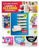 Taiba Market Kuwait offers from 29 to 31 October 2026 Laundry & Cleaning Essentials - Page 10