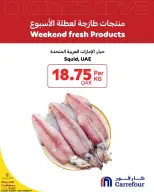 عروض كارفور قطر من ٢٩ حتى ٣١ أكتوبر ٢٠٢٦ منتجات طازجة لعطلة نهاية الأسبوع - صفحة 6