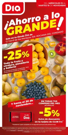 Ofertas de Dia España de 13 a 19 noviembre 2024 Ahorro a lo grande