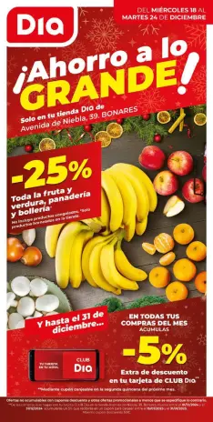 Ofertas de Dia España de 18 a 24 diciembre 2024 Ahorro a lo grande