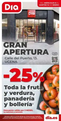 Ofertas de Dia España de 8 a 14 enero 2025 Ofertas de Gran apertura