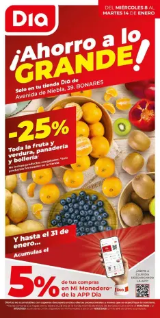 Ofertas de Dia España de 8 a 14 enero 2025 Ahorro a lo grande