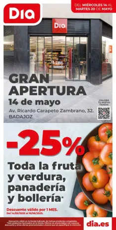 Ofertas de Dia España de 14 a 20 mayo 2025 Gran apertura Ofertas