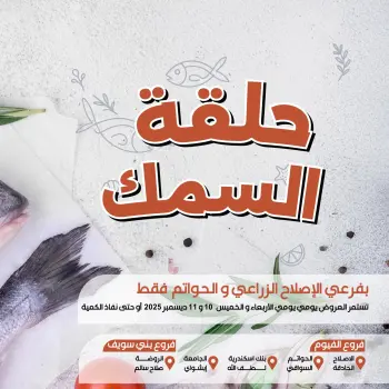 Ofertas de Mercado de Arafa Egipto de 10 a 11 diciembre 2025 Ofertas de pescado