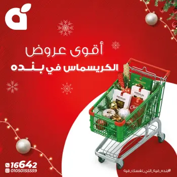Panda Egypt Offers from 22 to 31 December 2025 Christmas Offers
