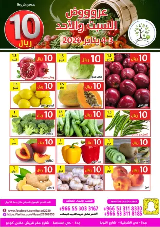 Hasad Albasatin Saudi Arabia Offers from 3 to 4 January 2026 Saving Deals