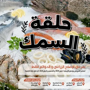 Ofertas de Mercado de Arafa Egipto de 7 a 8 enero 2026 Ofertas de pescado