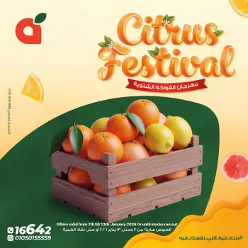 Panda Egypt Offers from 7 to 13 January 2026 Citrus Festival Offers