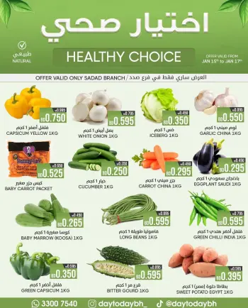 Day To Day Discount Center  Sadad  Offers from 15 to 17 January Healthy Choice Offers