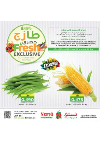 Ofertas de Nesto Oman de 15 a 18 enero 2026 Ofertas nuevas y exclusivas