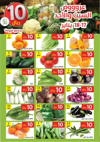 Hasad Albasatin Saudi Arabia Offers from 17 to 18 January 2026 Everything for only 10 riyals