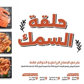 Ofertas de Mercado de Arafa Egipto de 4 a 5 febrero 2026 Ofertas de pescado