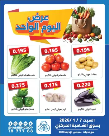 عروض جمعية الشامية والشويخ الكويت السبت 7 فبراير 2026 عرض اليوم الواحد