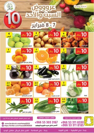 Hasad Albasatin Saudi Arabia Offers from 7 to 8 February 2026 Everything for only 10 riyals