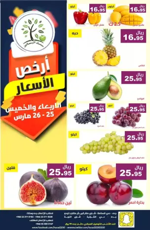 Hasad Albasatin Saudi Arabia offers from 25 to 26 March 2026 Low Price
