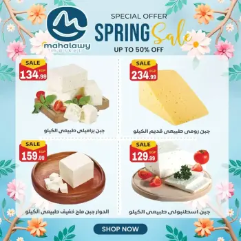 El mhallawy Sons offers from 31 March to 4 April 2026 Spring Sale