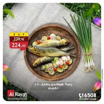 Al Rayah Market Egypt offers from 3 to 7 April 2026 Herring & Fesikh Offers