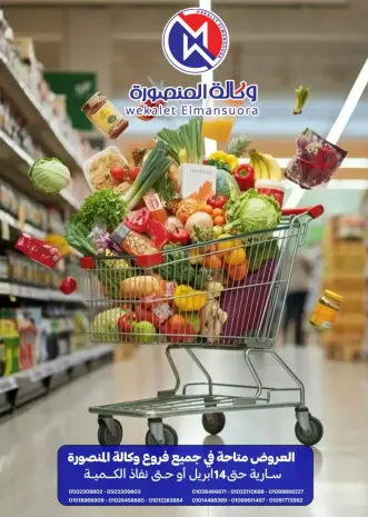 عروض وكالة المنصورة مصر من ٦ حتى ١٤ أبريل ٢٠٢٦ عروض شم النسيم