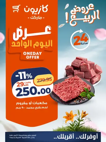 Kazyon Market Egypt offers Friday 24 April 2026 One day offer