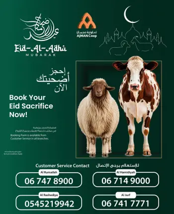 عروض تعاونية عجمان من ٦ حتى ٢٠ مايو ٢٠٢٦ اطلب تضحيتك