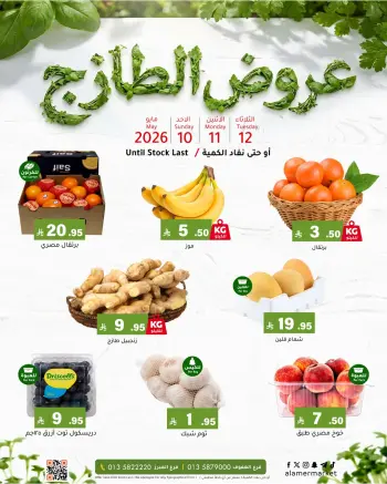 Al Amer market Saudi Arabia offers from 23 to 25 Dhuʻl-Qiʻdah 1447 AH (10 – 12 May 2026) Fresh deals