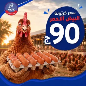 Bondok Market offers from 30 May to 5 June 2026 Egg Offers