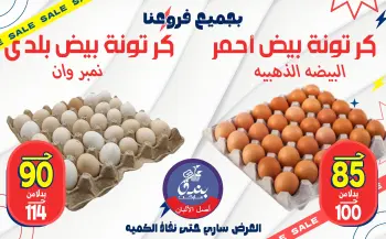 Bondok Market offers from 5 to 11 June 2026 Egg Offers
