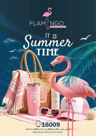 Flamingo Hypermarket Egypt offers from 29 June to 11 July 2026 Summer time Deals