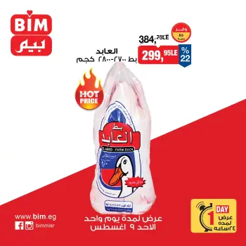 Ofertas de Mercado BIM Egipto domingo 9 agosto 2026 oferta de un dia