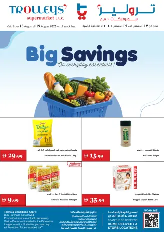 Ofertas de supermercado Trolleys Emiratos Árabes Unidos de 13 a 19 agosto 2026 Gran ahorro