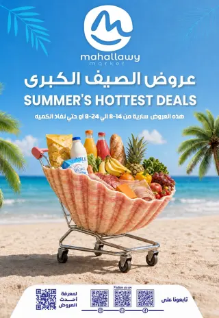 El mhallawy Sons offers from 14 to 24 August 2026 Summer Hottest Deals