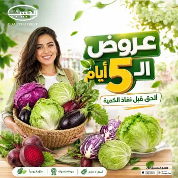 عروض الحبيب ماركت مصر من ١٧ حتى ٢١ أغسطس ٢٠٢٦ عروض الـ5 أيام