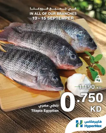 عروض هايبر ماكس الكويت من ١٣ حتى ١٥ سبتمبر ٢٠٢٦ عروض الطازج