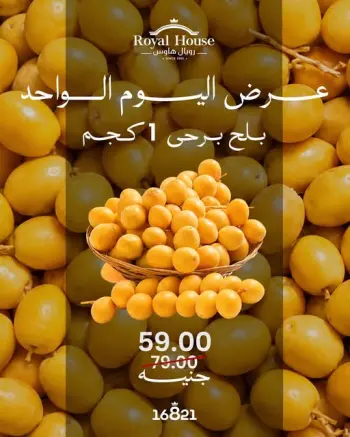 عروض رويال هاوس مصر الثلاثاء ٢٢ سبتمبر ٢٠٢٦ عرض اليوم الواحد