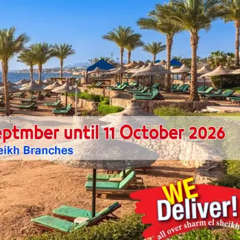 Offres Marché de Bassem Sharm El Sheikh de 24 septembre à 11 octobre 2026 Éclaboussure estiv