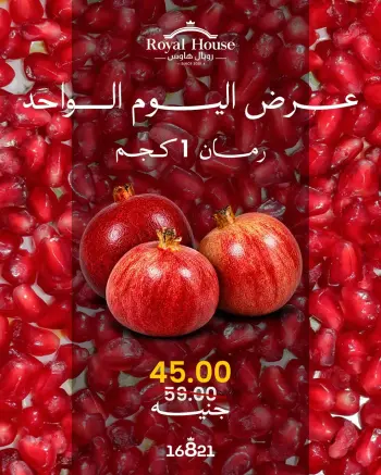عروض رويال هاوس مصر الثلاثاء ٦ أكتوبر ٢٠٢٦ عرض اليوم الواحد