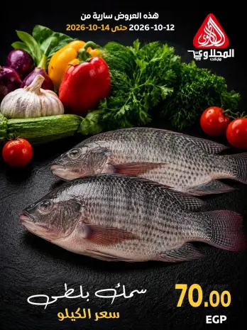 عروض المحلاوى ماركت من ١٢ حتى ١٤ أكتوبر ٢٠٢٦ مهرجان الأسماك