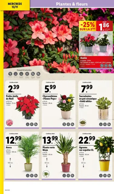 Offres Lidl France de 13 à 19 novembre 2024 Offres fêtes de fin d'année - Page 30