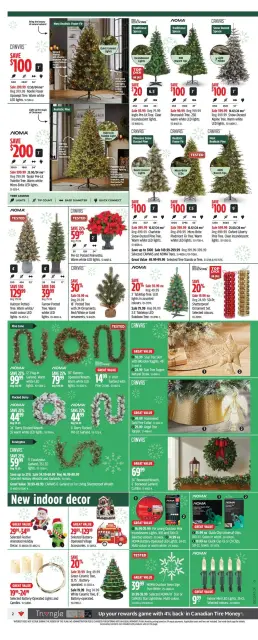 Canadian Tire Canada Offers from 14 to 20 November 2024 Exclusive bargains - Page 2