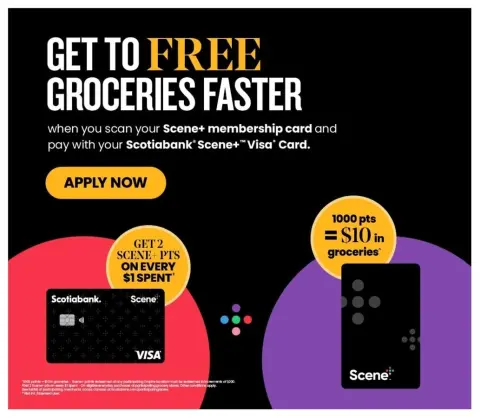 FreshCo Canada Offers from 14 to 20 November 2024 Weekly offers - Page 17