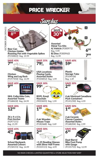 Princess Auto Canada Offers from 1 to 30 November 2024 Price Wrecker - Page 10