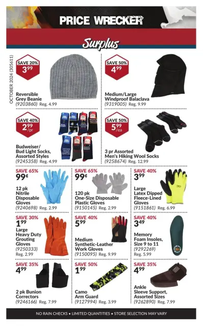Princess Auto Canada Offers from 1 to 30 November 2024 Price Wrecker - Page 11