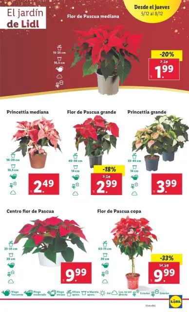 Ofertas de Lidl España de 2 a 8 diciembre 2024 ofertas semanales - Página 25
