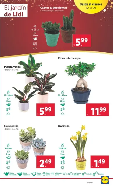 Ofertas de Lidl España de 30 diciembre a 5 enero 2025 Ofertas de bazar - Página 37