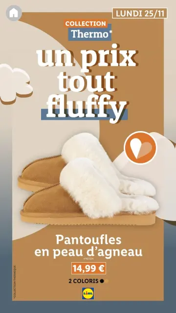 Offres Lidl France de 19 novembre à 23 février 2025 Offres Lookbook - Page 4