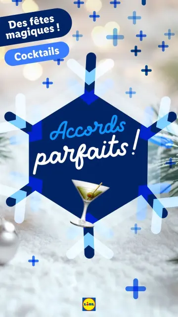 Offres Lidl France de 21 décembre à 3 janvier 2025 Offres de Noël - Page 9
