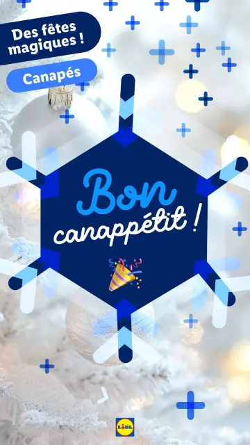 Offres Lidl France de 21 décembre à 3 janvier 2025 Offres de Noël - Page 13
